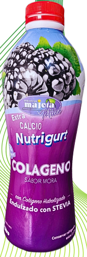 Nutrigurt Mora Con Colageno y Extra Calcio