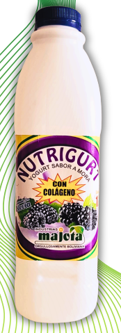 Nutrigurt Mora Clásico Con Colageno
